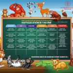 sincan belediyesi bebek kutuphanesi