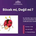Bocekmi degilmi