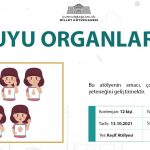 cb Duyu Organlarım