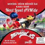 next level avm (1)