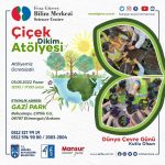 feza gursey cicek dikim (1)