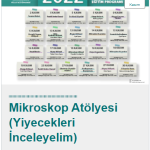 millet kütüphanesi 18 kasım mikroskop atölyesi