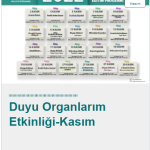 millet kütüphanesi 19 kasım duyu organlarım etkinliği