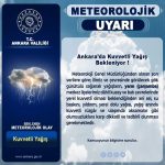 tcankaravaliligi_346896058_1678921485895036_7858315593475876182_n (1) (1)