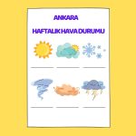 Copy of Weather Conditions Worksheet (Instagram Gönderisi (Kare))
