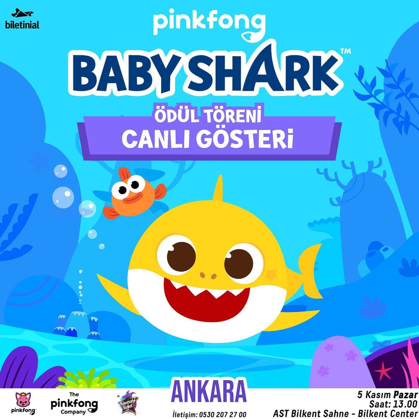 Baby shark 5 kasim
