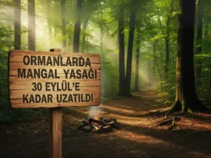 30 Eylüle Kadar Ormanda Mangal ve Ateşli Piknik Yasaklandı 1 ankarada mangal yasagi olmayan yerler